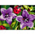 Princesse - Canevas antique Fleurs et Coccinelle 32x50cm