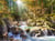 Puzzle 2000 pièces - Le Ruisseau de la Forêt - Castorland