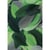 Plumes coupées camaieu vert 10g 6cm