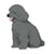 Chien Caniche Nain assis gris Taille standard | JEKCA | 14 ans et +
