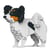 Chien Papillon noir Taille standard | JEKCA | 14 ans et +