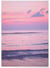 Poster Nature Ciel Rose 3 | A3 : 29,7x42cm
