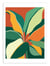 Affiche 30 x 40 cm - Cowboy plant - Kristian Gallagher
