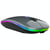 Souris Sans Fil RGB Bluetooth Silencieuse Ergonomique Rechargeable Avec 3 Boutons Gris YONIS
