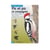 Miniguide 37 - Pic et pic et compagnie