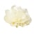 Broche fleur 11cm ivoire
