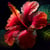 Tableau sur verre hibiscus 45x45 cm
