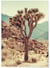 Affiche Nature Desert 3 | A3 : 29,7x42cm