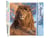 Peinture par Numéro Figured'Art - Le Repos du Lion - Kit de Loisir Créatif DIY Numéro d'Art Complet - 40x50cm sans châssis en bois