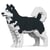 Chien Malamute de l'Alaska noir Taille standard | JEKCA | 14 ans et +