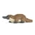Ornithorynque Taille standard | JEKCA | 14 ans et +