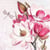 Lot de 4 serviettes en papier découpage collage 33 cm FLEUR MAGNOLIA F 510