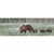 Tableau sur toile balade d'ours 30x97 cm