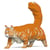 Chat Maine Coon roux | JEKCA | 14 ans et +