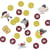 Confettis Pirate Color - Recyclable