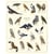 Longue vue editions - Rapaces - Affiche 24 x 30 cm