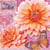 Lot de 4 serviettes en papier découpage collage 33 cm FLEUR DAHLIA F 103