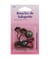 Boucles de salopette bronze X 2 - Distrifil Marron