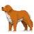 Chien Retriever de la Nouvelle-Écosse Taille standard | JEKCA | 14 ans et +