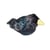 Peluche sonore Etourneau sansonnet