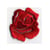 Ecusson thermocollant petite rose rouge 3cmx3.5cm