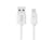 Avizar Câble Lightning vers USB-A 2.4A Charge et Synchronisation 1m Blanc