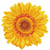 Diamond Dotz, Tournesol Happy Day, dim. 20x20 cm, 1 Pq.