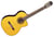 GC5CE-NAT Takamine