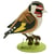 Set de construction 3D en papier chardonneret elegant - Fridolin