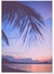 Poster Nature Tropicale 6 | A3 : 29,7x42cm