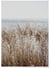 Poster Nature Winter 2 | A3 : 29,7x42cm