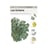Miniguide 4 - Les lichens