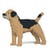 Chien Border Terrier noir Taille standard | JEKCA | 14 ans et +