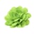 Broche fleur 8,5cm vert fluo
