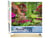 Peinture par Numéro Figured'Art - Parc fleuri - Kit de Loisir Créatif DIY Numéro d'Art Complet - 40x50cm toile roulée + châssis en bois à monter