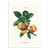 Affiche 50x70 cm - Burger Plant - Jonas Loose