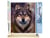 Peinture par Numéro Figured'Art - Tête de loup - Kit de Loisir Créatif DIY Numéro d'Art Complet - 40x50cm toile roulée + châssis en bois à monter