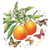Lot de 4 serviettes en papier découpage collage 33 cm FRUIT PAPILLON