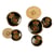 Bouton blason devise noir 20mm