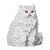 Chat Persan blanc assis | JEKCA | 14 ans et +