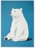 Affiche Ours polaire | A3 : 29,7x42cm
