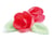 4 roses rouges +6 feuilles vertes azyme (blister)