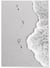 Affiche Nature Plage noir et blanc | A3 : 29,7x42cm
