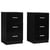 Lot de 2 classeurs de dossier 37,1 x 34,2 x 66,5 cm