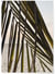 Poster Nature Feuille palmier plage | A3 : 29,7x42cm