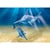 Playmobil aquarium 9068 espadon et son petit