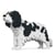 Chien Cavalier King Charles Spaniel taches noires Taille standard | JEKCA | 14 ans et +
