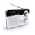Radio portable FM Vintage - noir et blanc