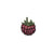 Ecusson thermocollant jardin framboise 3cm x 2cm