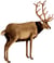 Hansa Peluche Geante Cerf 150 cm H et 140 cm L - Hansa Peluches Géantes - Marron